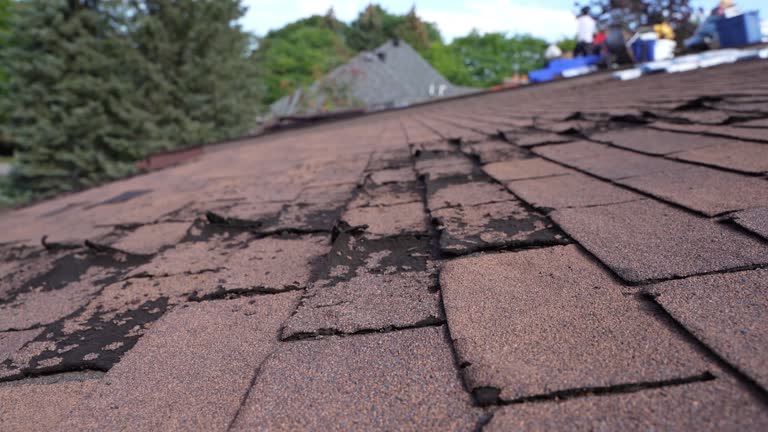 Best Storm Damage Roof Repair  in De Graff, OH